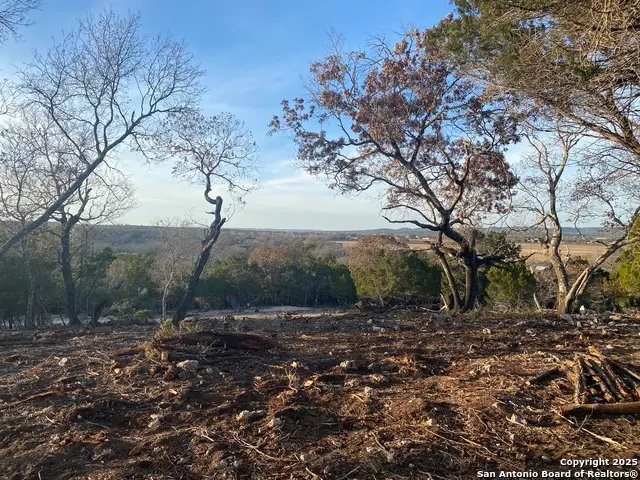 308 Elm Pass, Center Point, TX 78010 - Image #2