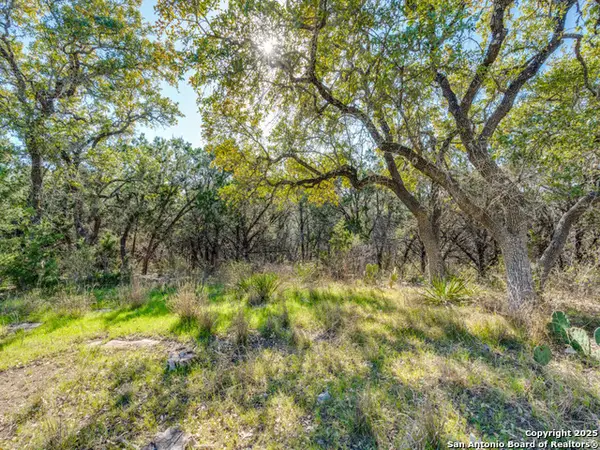 223 Lakeview, Spring Branch, TX 78070
