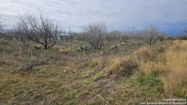 949 W Ave K Lots 3283-3285, Christine, TX 78012 - Image #2