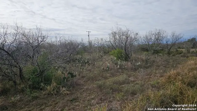 949 W Ave K Lots 3283-3285, Christine, TX 78012 - Image #3