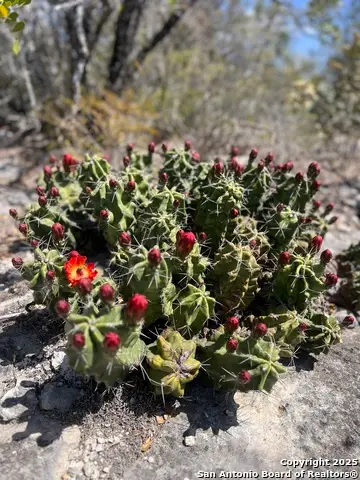 LOT 41-L & 42-L New Leona Ranch, Brackettville, TX 78832 - Image #1