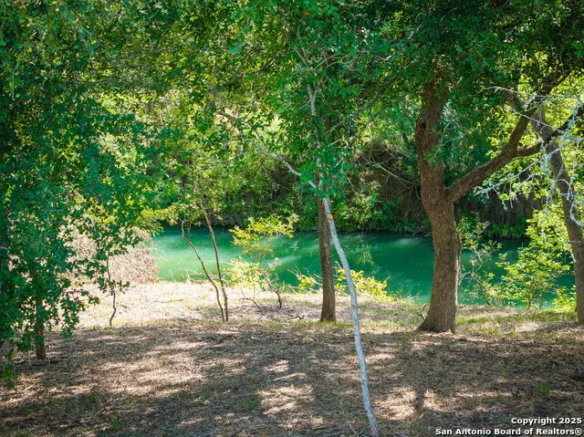 TBD Fm 621, Staples, TX 78655 - Image #2