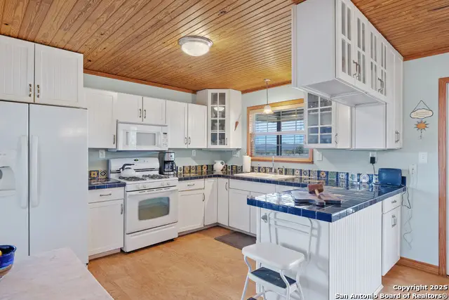 2925 County Road 361, Utopia, TX 78884 - Image #3