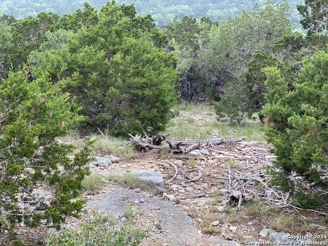 3726 Morris Lynn, San Antonio, TX 78261 - Image #2