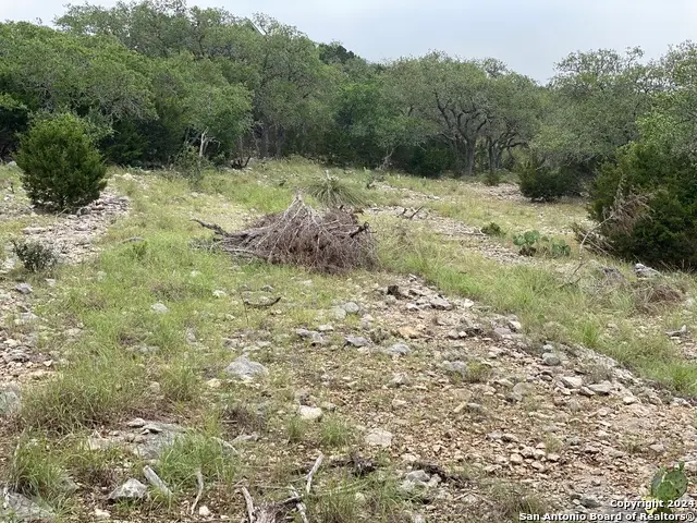 3726 Morris Lynn, San Antonio, TX 78261 - Image #3