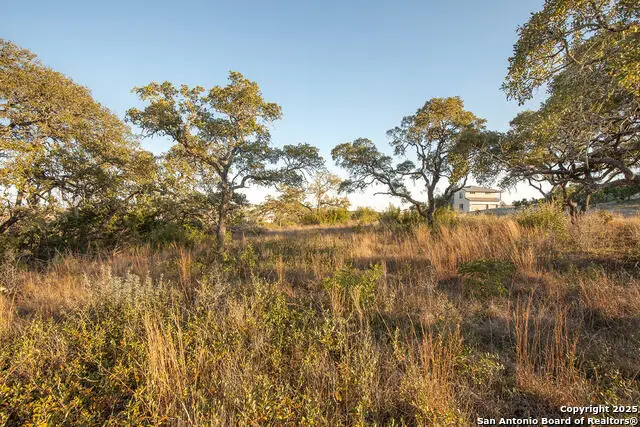 23304 Pepper Cyn, San Antonio, TX 78255 - Image #3