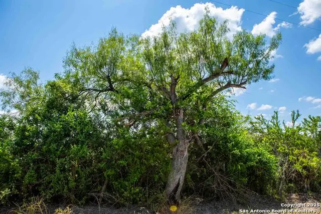 000 Cr 405, Beeville, TX 78102 - Image #2