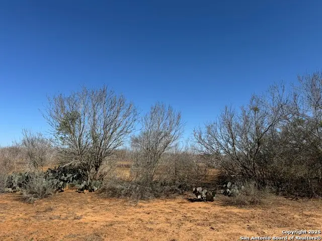 1432 Cr 326, Jourdanton, TX 78026 - Image #2