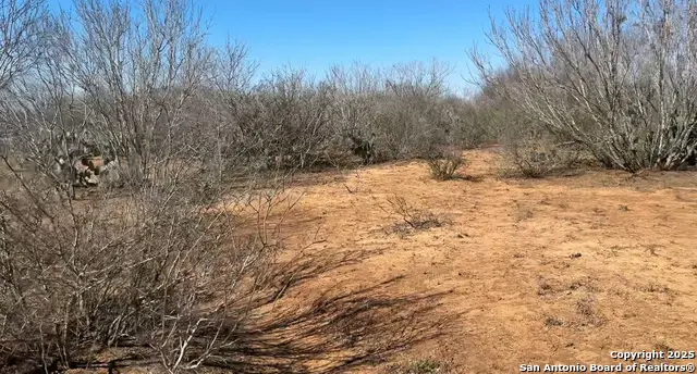 1432 Cr 326, Jourdanton, TX 78026 - Image #3