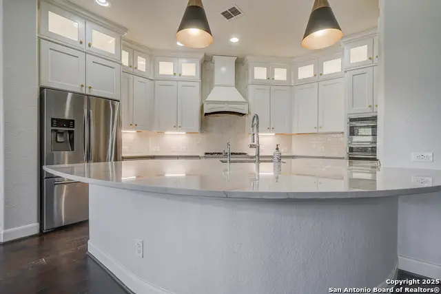 29138 Tivoli Way, Fair Oaks Ranch, TX 78015 - Image #2