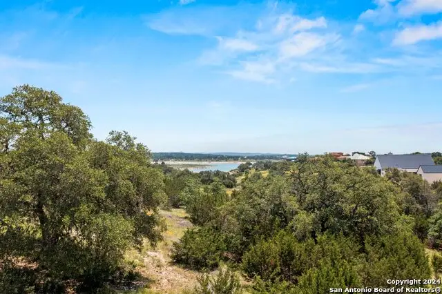 132 Serene St, Spring Branch, TX 78070 - Image #2