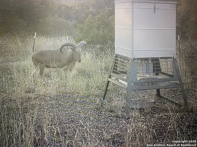 1111 Mesa Verde, Sabinal, TX 78881 - Image #3