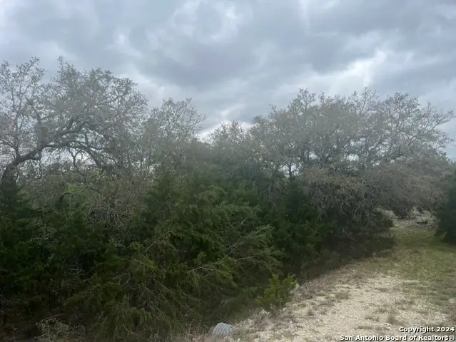 192 Macaw Ln, Spring Branch, TX 78070 - Image #3