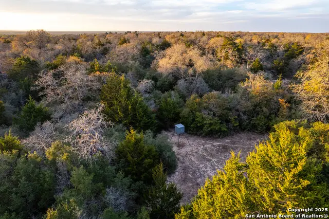 1512 Boulder Lane, Harwood, TX 78632 - Image #3