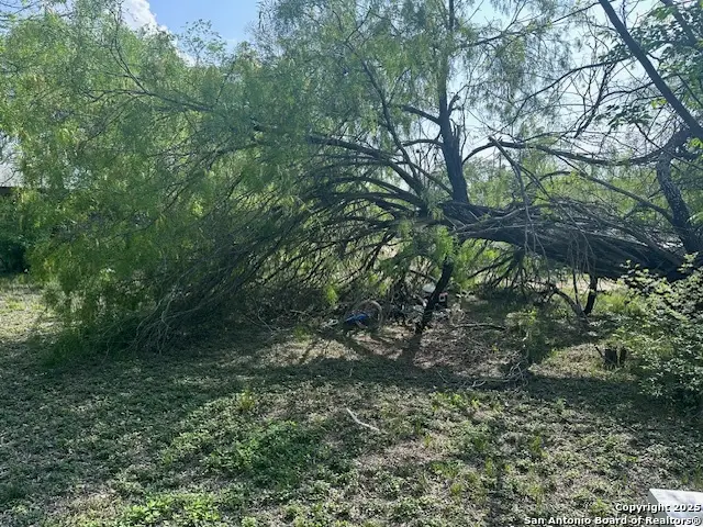 516 Bartlett, Natalia, TX 78059 - #3