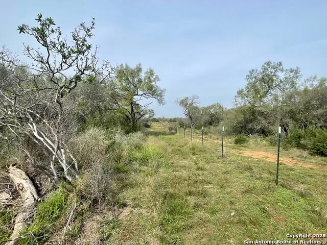 169 County Road 1670, Moore, TX 78057 - Image #1
