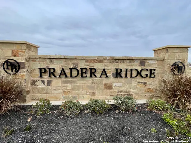 116 Pradera Ridge Dr, Floresville, TX 78114 - Image #1