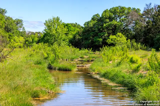 2199 Langes Mill Road, Doss, TX 78618 - Image #2