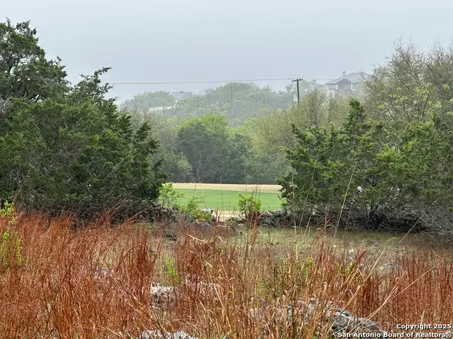 117 N John Bird, Blanco, TX 78606 - Image #1