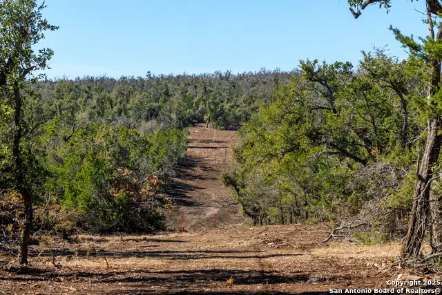 0000 Keese Road, Fredericksburg, TX 78624 - Image #2