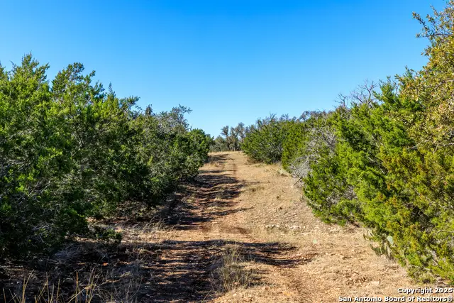 0000 Keese Road, Fredericksburg, TX 78624 - Image #3