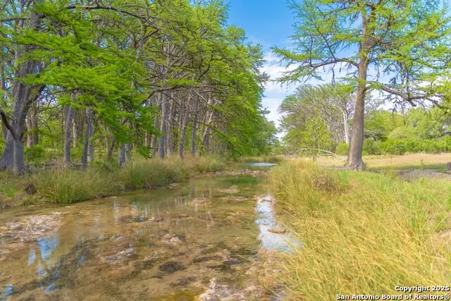 950 River Road, Utopia, TX 78884 - Image #3