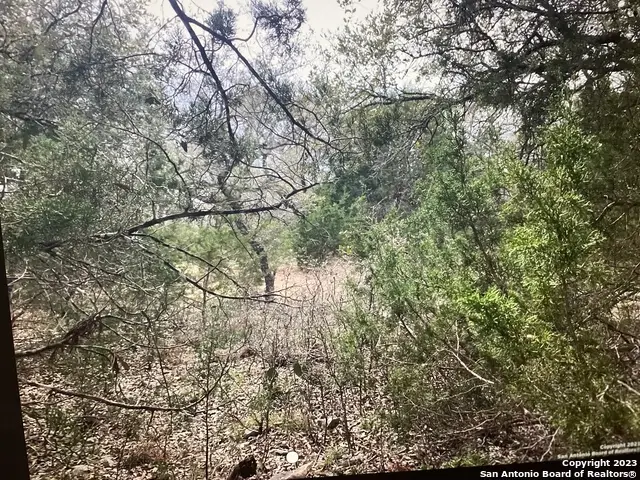 LOT 1403 Asa Harold, Blanco, TX 78606 - Image #2