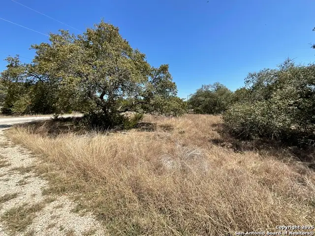 137 Restless Wind, Canyon Lake, TX 78070 - #2