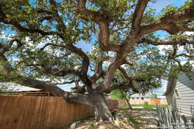 507 Hayden, Devine, TX 78016 - Image #3