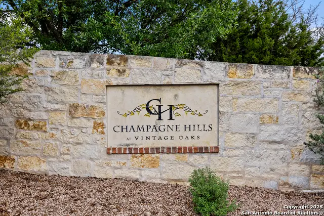 1324 Pinot Grigio, New Braunfels, TX 78132 - Image #3