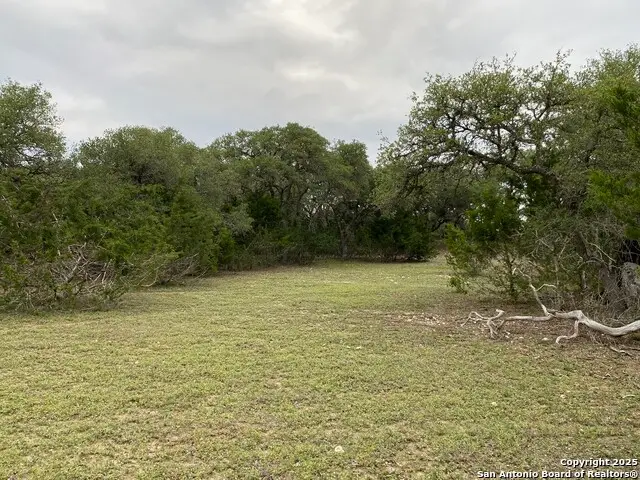 42 Rust Lane, Boerne, TX 78006 - #2