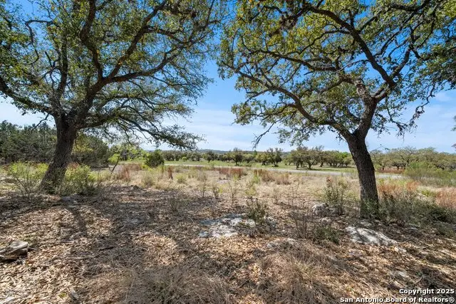 336 River Cliff, Spring Branch, TX 78070 - Image #2