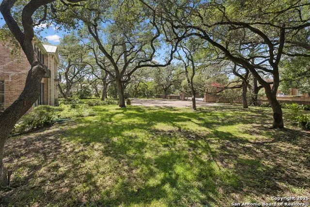 424 Ivy, San Antonio, TX 78209 - Image #3