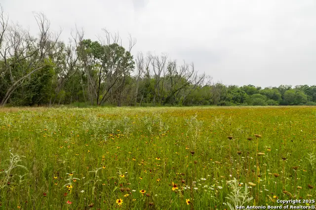 00 Shepherd Rd, Atascosa, TX 78002 - Image #2