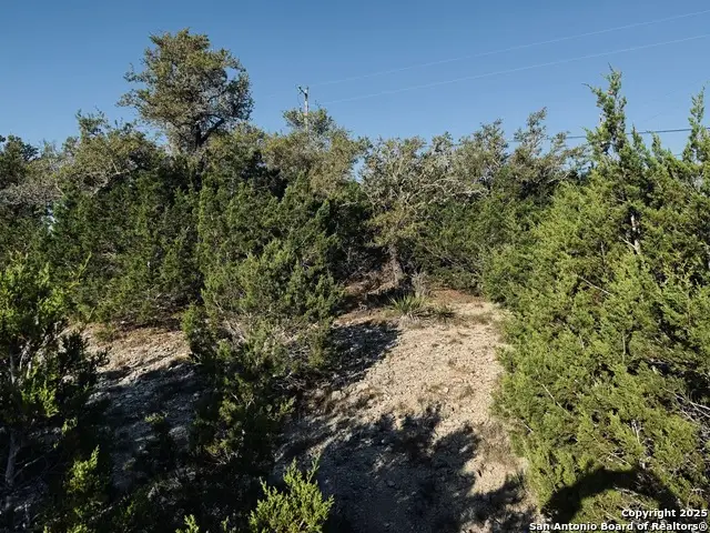 1111 Rocky Ridge Loop, Canyon Lake, TX 78133 - #2