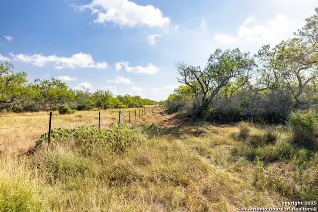 TBD Fm 108, Smiley, TX 78159 - Image #2