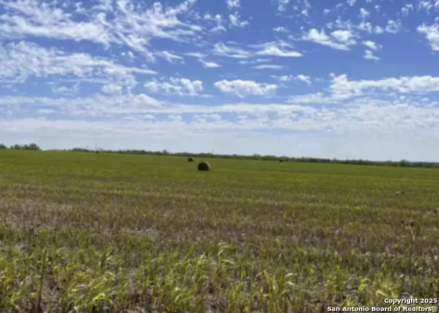 TRACT A Abbott, Saint Hedwig, TX 78152 - Image #2
