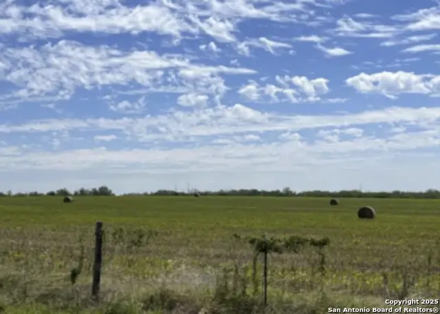 TRACT D Abbott, Saint Hedwig, TX 78152 - Image #3