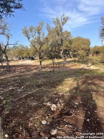 3355 Lakeview, Canyon Lake, TX 78133 - Image #3