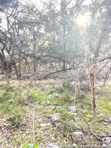 3343 Lakeview, Canyon Lake, TX 78133 - Image #2