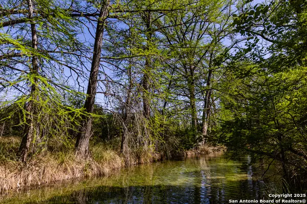 816 Cornelius Road, Utopia, TX 78884