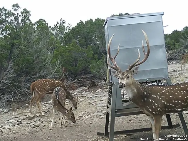 TBD West Nueces Ranch, Lot 20, Rocksprings, TX 78880 - Image #1