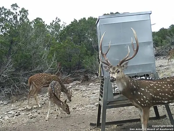 TBD West Nueces Ranch, Lot 20, Rocksprings, TX 78880