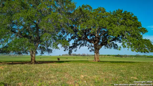 TBD County Road 404, Floresville, TX 78114