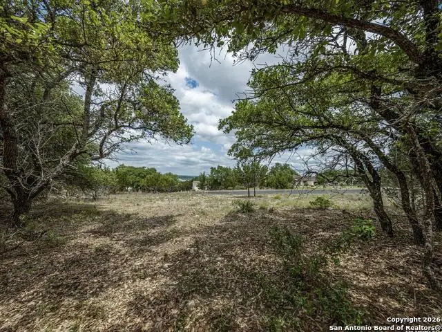 162 Scarlet, Canyon Lake, TX 78133 - #3