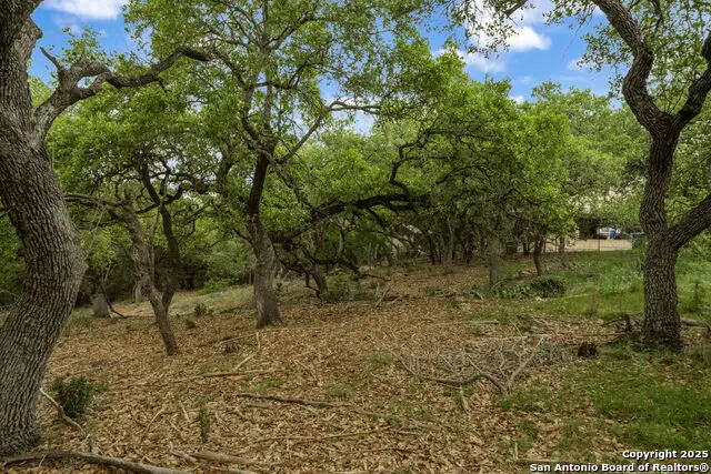 25139 Callaway, San Antonio, TX 78260 - Image #2
