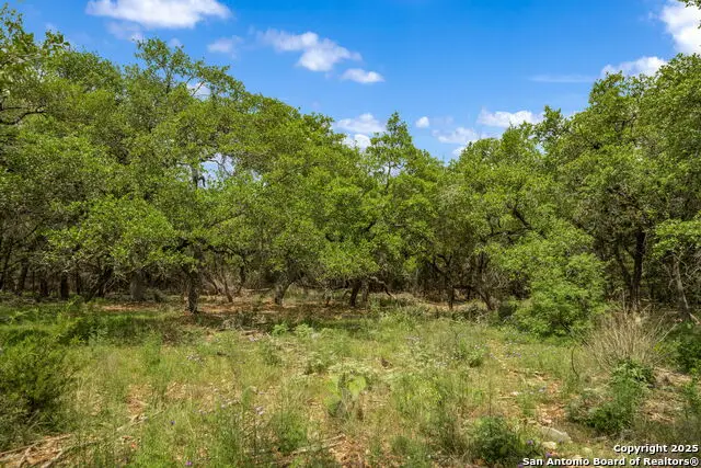25139 Callaway, San Antonio, TX 78260 - Image #3
