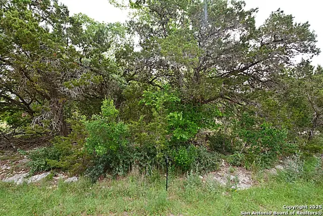 1873 Lakeshore, Canyon Lake, TX 78133 - #1