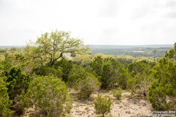 110 Peppergrass, Spring Branch, TX 78070