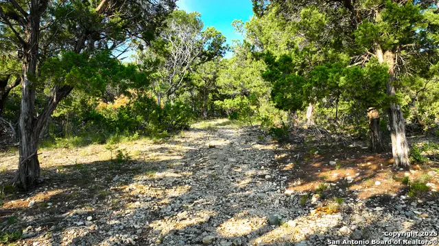 LOT16&50%LOT15 Hondo Oaks, Tarpley, TX 78883 - Image #2